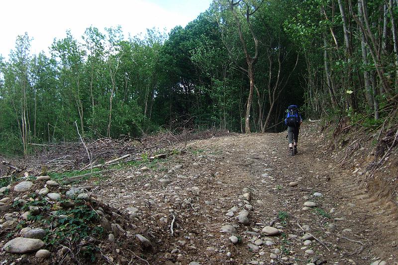 2011-05- (769).JPG
